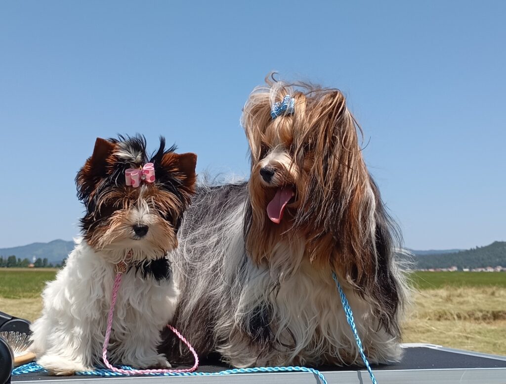 img 20250624 elli in jack, postojna mateja k.