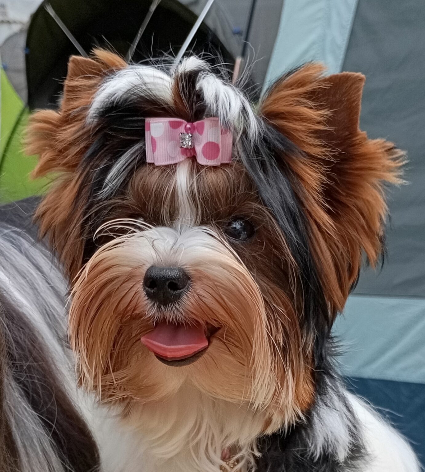 Domov img 20250827 elly mateja k.