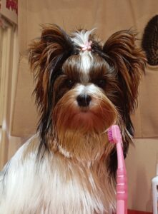 img 20251101 elly mateja k.