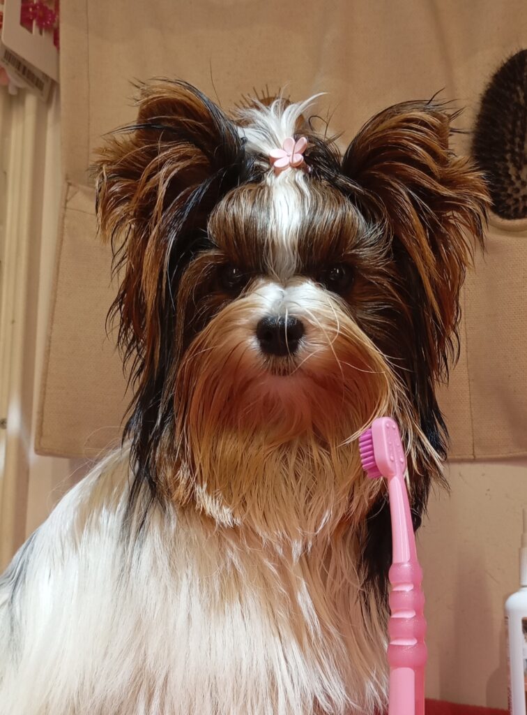 img 20251101 elly mateja k.