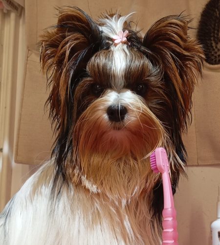 img 20251101 elly mateja k.